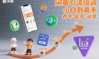 闲鱼引流培训,小白到高手,养号-起号-运营