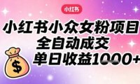 小红书小众女粉项目,全自动成交,单日收益多张