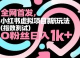 全网首发,小红书虚拟项目新玩法(指数测试),0粉丝日入1k+,整个玩法完整拆解!