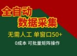 全自动数据采集项目，无需人工，单窗口可达50+收益，操作简单无难度，一个人也能轻松实现矩阵【揭秘】