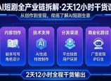 A短剧全产业链拆解,2天12小时全程干货输出,彻底的了解AI短剧是一门什么生意