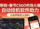 寒假+春节CSGO市场火爆,配合游戏自动挂机软件,小白只用一台手机也可日入300+