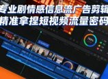 专业剧情感信息流广告剪辑，精准拿捏短视频流量密码