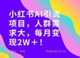 她通过这个AI项目每月做到2W＋的收入，最新小红书AI项目，人群需求大！