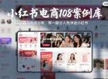 小红书电商108案例库,百W利润分析,带一部分人先冲进小红书【文档】