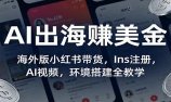 AI出海赚美金:海外版小红书带货,Ins注册,AI视频,环境搭建全教学