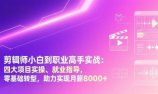 剪辑师小白到职业高手实战：四大项目实操、就业指导，零基础转型，助力实现月薪8000+