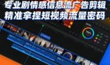 专业剧情感信息流广告剪辑，精准拿捏短视频流量密码