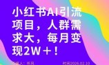 她通过这个AI项目每月做到2W＋的收入，最新小红书AI项目，人群需求大！