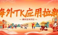 海外TK应用拉新,最新蓝海项目,早做早吃肉,月入5K美刀