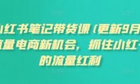 小红书笔记带货课，流量电商新机会，抓住小红书的流量红利(更新26年2月)