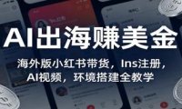 AI出海赚美金:海外版小红书带货,Ins注册,AI视频,环境搭建全教学
