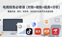 电商财务必修课(对账+做账+税务+分析