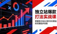 独立站爆款打法实战课，掌握独立站从0到1000美金的完整起步流程