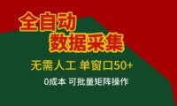 全自动数据采集项目，无需人工，单窗口可达50+收益，操作简单无难度，一个人也能轻松实现矩阵【揭秘】