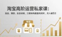 淘宝高阶运营私家课:选品、爆款、全店动销,三模块构建盈利闭环,月入破5万(更新26年2月