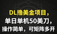 DL撸美金项目，单日单机50美刀，操作简单，可矩阵多开
