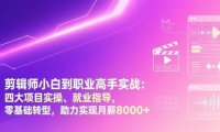 剪辑师小白到职业高手实战：四大项目实操、就业指导，零基础转型，助力实现月薪8000+