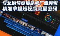 专业剧情感信息流广告剪辑，精准拿捏短视频流量密码