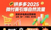 拼多多微付费引爆自然流量,拼多多电商运营教程,运营、推广、打爆品、微付费(更新26年2月)