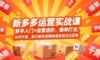 拼多多运营实战课，新手入门+运营进阶、爆单打法，16节干货，助力新手店铺快速实现日出百单