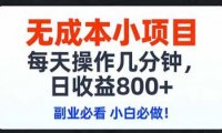 无成本小项目,每天操作几分钟,日收益800+ 副业必看 小白必做!