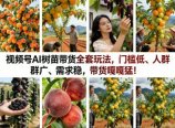视频号AI树苗带货全套玩法,门槛低、人群广、需求稳,带货嘎嘎猛!