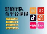 野狼团队2026新版全平台短视频带货教学,打开流量突破口,开始Ai带货(更新26年3月)