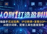 操盘手实战宝典：IP诊断表+发售SOP+AI提示词库，配套工具包直接落地，从0到1打造盈利IP