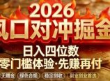 2026美金对冲套利，无赠金对冲策略保驾护航，低门槛易上手实操。单人单日收益2000+