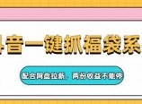 抖音一键抓福袋系列，配合网盘拉新，两份收益不能停