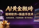 A1黄金搬砖 聪明软件+操盘手技术 告别韭菜局，小白也可以轻松上手日赚50-100U