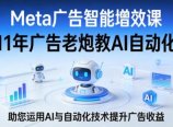 Meta广告智能增效课,11年广告老炮教AI自动化,助您运用AI与自动化技术提升广告收益
