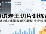 胡说老王切片训练营，零基础快速掌握短视频切片变现技巧