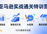 亚马逊实战通关特训营：2026年3月更新，多维选品+渐进式打法+AI应用，从0到1打造盈利店铺