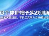 超级个体IP增长实战训练营：AI赋能大脑超频，零员工实现7x24h持续增长(更新)