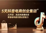 5天抖音电商创业集训：从开店、选品到直播投流，零基础构建完整运营能力