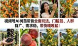 视频号AI树苗带货全套玩法,门槛低、人群广、需求稳,带货嘎嘎猛!