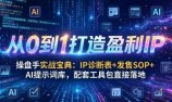 操盘手实战宝典：IP诊断表+发售SOP+AI提示词库，配套工具包直接落地，从0到1打造盈利IP