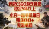 老牌CSGO游戏挂G,稳定5年以上,小白一部手机单日賺3张+,无需电脑【揭秘】