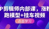 IP剪辑师内部课，涨粉跑模型+挂车视频(更新)