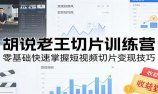 胡说老王切片训练营，零基础快速掌握短视频切片变现技巧