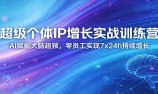 超级个体IP增长实战训练营：AI赋能大脑超频，零员工实现7x24h持续增长(更新)