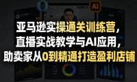 亚马逊实操通关训练营，直播实战教学与AI应用，助卖家从0到精通打造盈利店铺(更新3月)