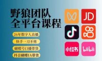 野狼团队2026新版全平台短视频带货教学,打开流量突破口,开始Ai带货(更新26年3月)