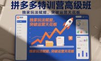拼多多特训营高阶班，独家玩法赋能，突破运营天花板(更新26年3月19日)