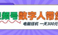 视频号数字人带货，电脑挂G项目，新手小白轻松一天3张+【揭秘】