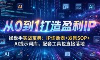 操盘手实战宝典：IP诊断表+发售SOP+AI提示词库，配套工具包直接落地，从0到1打造盈利IP