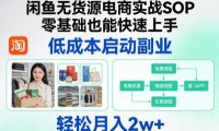 闲鱼无货源电商实战SOP,零基础也能快速上手,低成本启动副业,轻松月入2w+