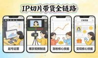 IP切片带货全链路(更新